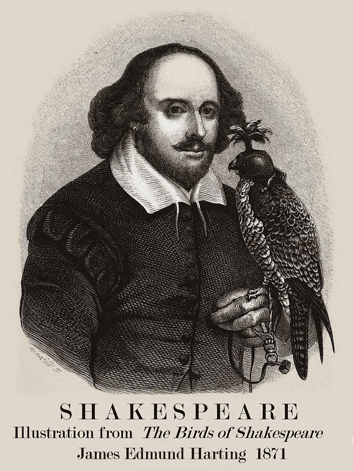 Bird Week: Shakespeare’s Birds