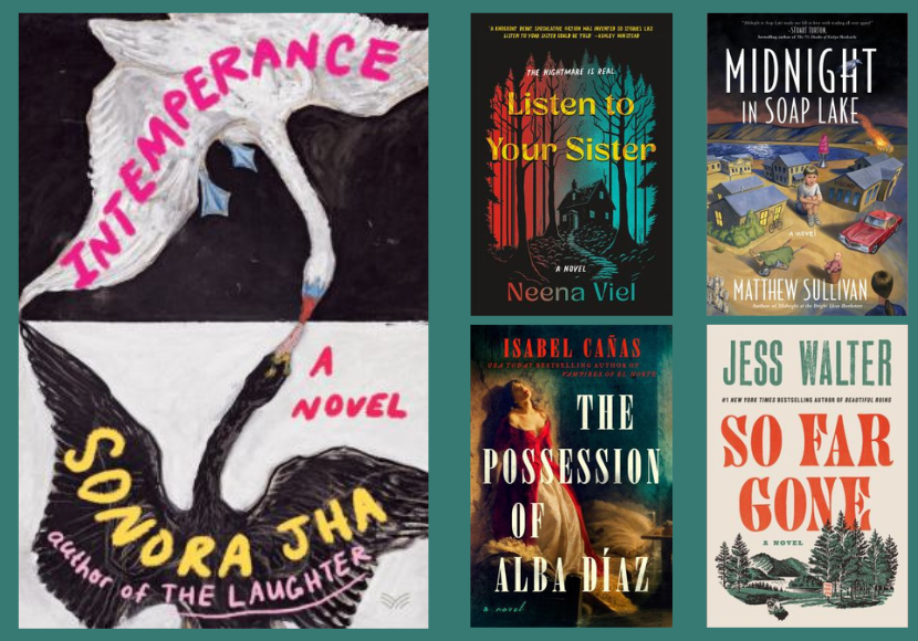 Recent Novels from Washington Authors