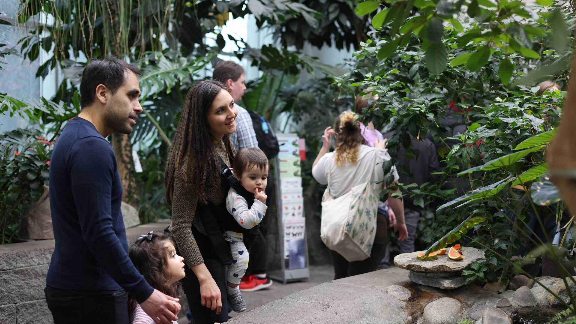 Pacific Science Center Returns to the Museum Pass Program